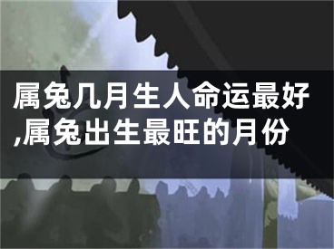 属兔几月生人命运最好,属兔出生最旺的月份