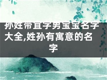 孙姓带宜字男宝宝名字大全,姓孙有寓意的名字