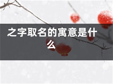  之字取名的寓意是什么 