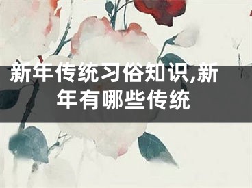 新年传统习俗知识,新年有哪些传统