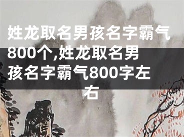 姓龙取名男孩名字霸气800个,姓龙取名男孩名字霸气800字左右