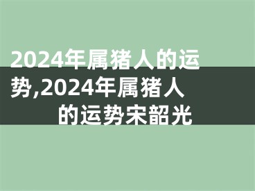 2024年属猪人的运势,2024年属猪人的运势宋韶光