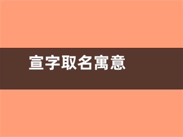  宣字取名寓意 