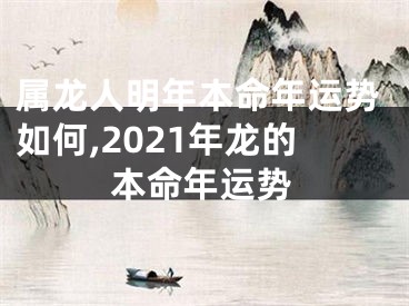 属龙人明年本命年运势如何,2021年龙的本命年运势