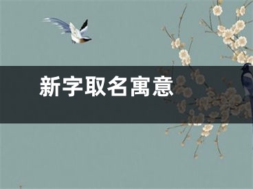  新字取名寓意 