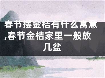 春节摆金桔有什么寓意,春节金桔家里一般放几盆