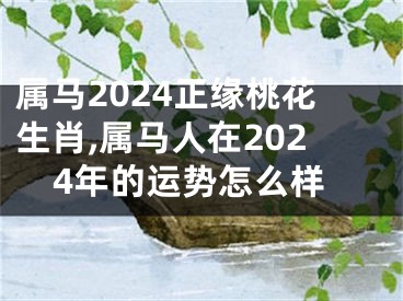 属马2024正缘桃花生肖,属马人在2024年的运势怎么样