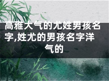 高雅大气的尤姓男孩名字,姓尤的男孩名字洋气的