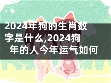 2024年狗的生肖数字是什么,2024狗年的人今年运气如何