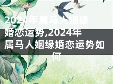 2024年属马人姻缘婚恋运势,2024年属马人姻缘婚恋运势如何