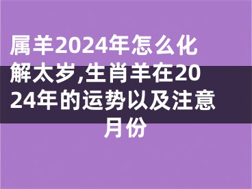 属羊2024年怎么化解太岁,生肖羊在2024年的运势以及注意月份