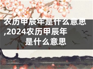 农历甲辰年是什么意思,2024农历甲辰年是什么意思