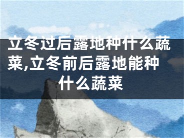 立冬过后露地种什么蔬菜,立冬前后露地能种什么蔬菜