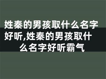 姓秦的男孩取什么名字好听,姓秦的男孩取什么名字好听霸气