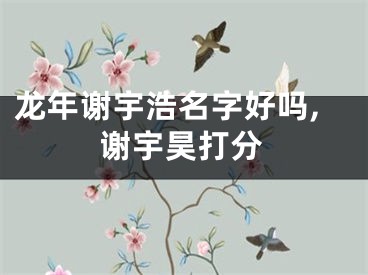 龙年谢宇浩名字好吗,谢宇昊打分