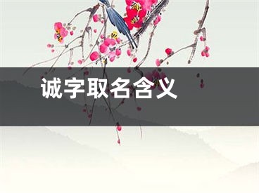  诚字取名含义 