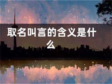  取名叫言的含义是什么 