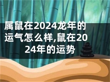 属鼠在2024龙年的运气怎么样,鼠在2024年的运势