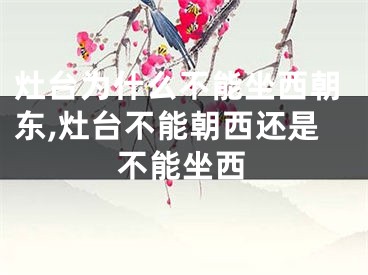 灶台为什么不能坐西朝东,灶台不能朝西还是不能坐西