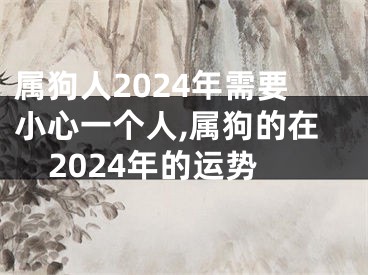 属狗人2024年需要小心一个人,属狗的在2024年的运势