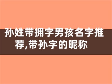 孙姓带拥字男孩名字推荐,带孙字的昵称