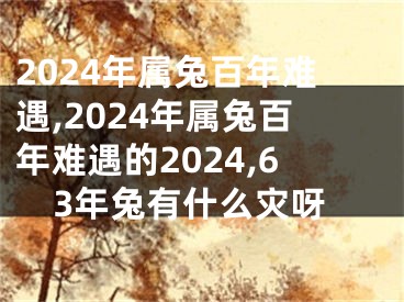 2024年属兔百年难遇,2024年属兔百年难遇的2024,63年兔有什么灾呀