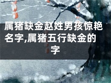 属猪缺金赵姓男孩惊艳名字,属猪五行缺金的字