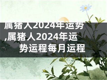 属猪人2024年运势,属猪人2024年运势运程每月运程