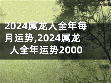 2024属龙人全年每月运势,2024属龙人全年运势2000