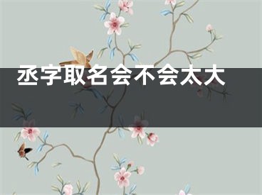  丞字取名会不会太大 