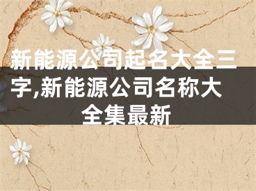 新能源公司起名大全三字,新能源公司名称大全集最新