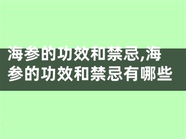 海参的功效和禁忌,海参的功效和禁忌有哪些