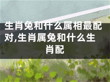 生肖兔和什么属相最配对,生肖属兔和什么生肖配