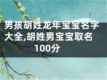 男孩胡姓龙年宝宝名字大全,胡姓男宝宝取名100分