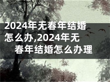 2024年无春年结婚怎么办,2024年无春年结婚怎么办理