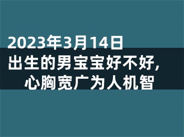 2023年3月14日出生的男宝宝好不好,心胸宽广为人机智