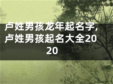 卢姓男孩龙年起名字,卢姓男孩起名大全2020