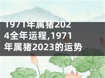 1971年属猪2024全年运程,1971年属猪2023的运势