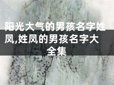 阳光大气的男孩名字姓凤,姓凤的男孩名字大全集