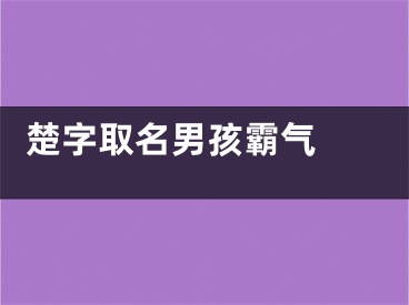  楚字取名男孩霸气 