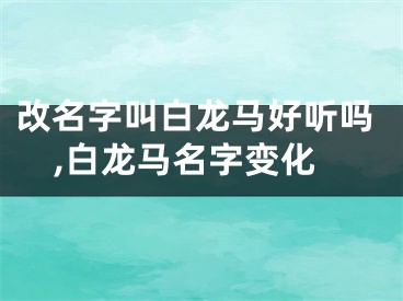 改名字叫白龙马好听吗,白龙马名字变化