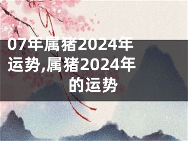 07年属猪2024年运势,属猪2024年的运势