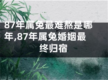 87年属兔最难熬是哪年,87年属兔婚姻最终归宿