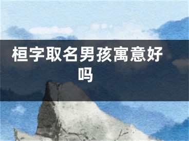  桓字取名男孩寓意好吗 