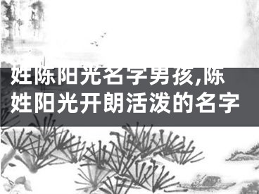 姓陈阳光名字男孩,陈姓阳光开朗活泼的名字