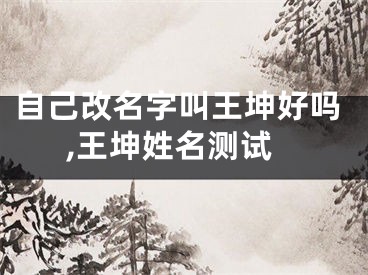 自己改名字叫王坤好吗,王坤姓名测试