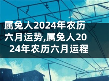 属兔人2024年农历六月运势,属兔人2024年农历六月运程