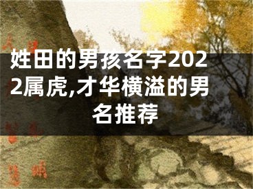 姓田的男孩名字2022属虎,才华横溢的男名推荐