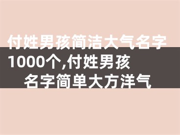 付姓男孩简洁大气名字1000个,付姓男孩名字简单大方洋气