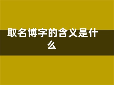  取名博字的含义是什么 